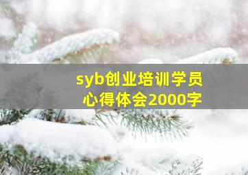 syb创业培训学员心得体会2000字