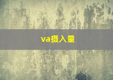 va摄入量