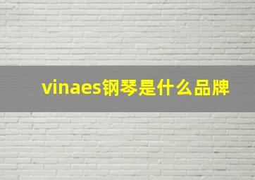 vinaes钢琴是什么品牌