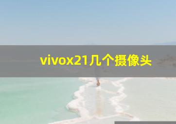 vivox21几个摄像头