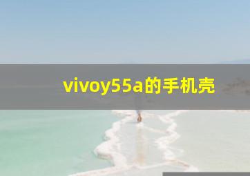 vivoy55a的手机壳