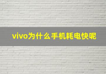 vivo为什么手机耗电快呢