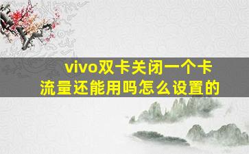 vivo双卡关闭一个卡流量还能用吗怎么设置的