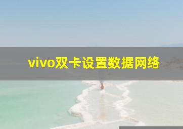 vivo双卡设置数据网络