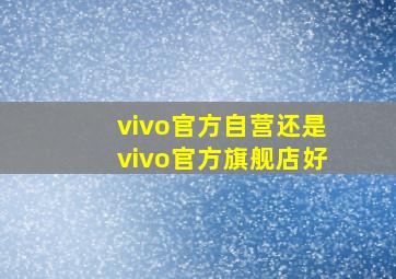 vivo官方自营还是vivo官方旗舰店好