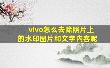 vivo怎么去除照片上的水印图片和文字内容呢