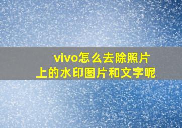 vivo怎么去除照片上的水印图片和文字呢