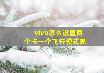 vivo怎么设置两个卡一个飞行模式呢