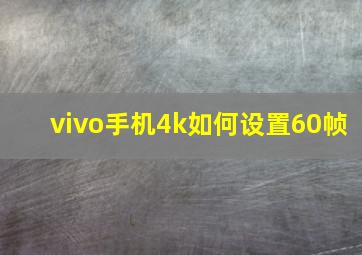 vivo手机4k如何设置60帧