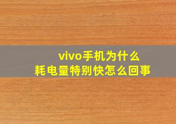 vivo手机为什么耗电量特别快怎么回事