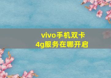 vivo手机双卡4g服务在哪开启