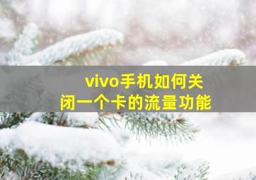 vivo手机如何关闭一个卡的流量功能