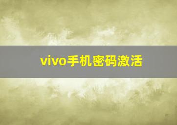 vivo手机密码激活