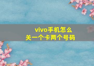 vivo手机怎么关一个卡两个号码