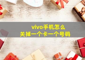 vivo手机怎么关掉一个卡一个号码