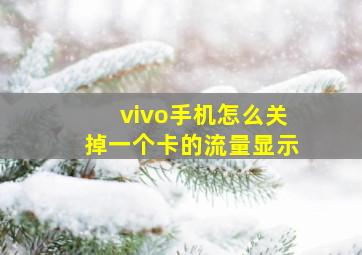 vivo手机怎么关掉一个卡的流量显示