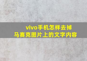 vivo手机怎样去掉马赛克图片上的文字内容