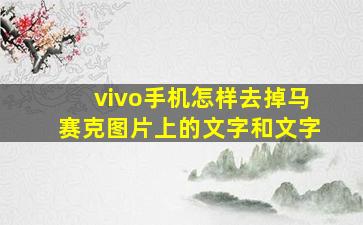 vivo手机怎样去掉马赛克图片上的文字和文字