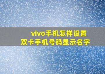 vivo手机怎样设置双卡手机号码显示名字