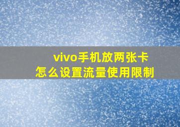 vivo手机放两张卡怎么设置流量使用限制