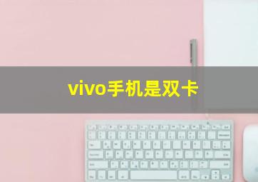 vivo手机是双卡