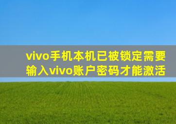 vivo手机本机已被锁定需要输入vivo账户密码才能激活