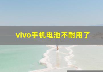 vivo手机电池不耐用了