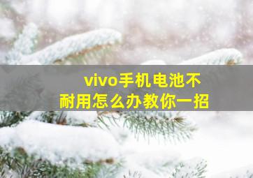 vivo手机电池不耐用怎么办教你一招