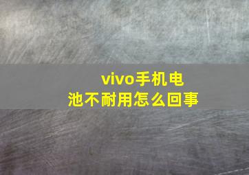 vivo手机电池不耐用怎么回事