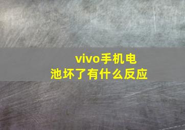 vivo手机电池坏了有什么反应