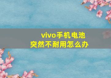 vivo手机电池突然不耐用怎么办