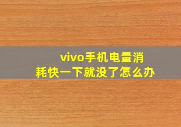 vivo手机电量消耗快一下就没了怎么办