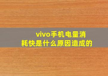 vivo手机电量消耗快是什么原因造成的