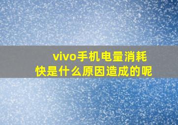 vivo手机电量消耗快是什么原因造成的呢