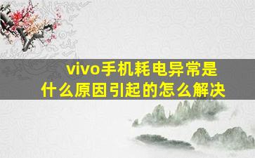 vivo手机耗电异常是什么原因引起的怎么解决