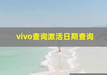 vivo查询激活日期查询