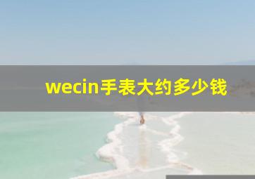 wecin手表大约多少钱