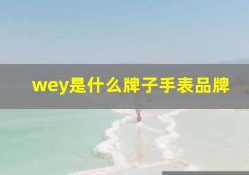 wey是什么牌子手表品牌