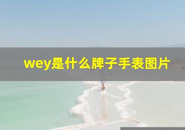 wey是什么牌子手表图片