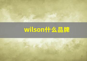 wilson什么品牌