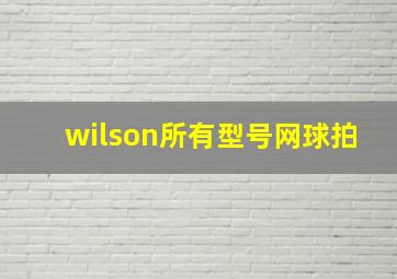 wilson所有型号网球拍