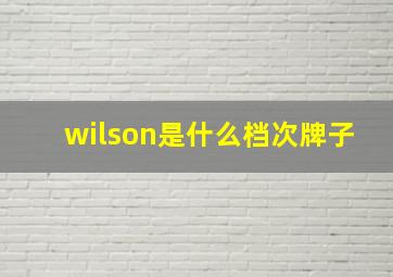 wilson是什么档次牌子