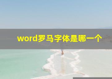 word罗马字体是哪一个