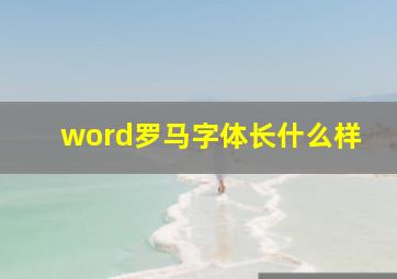 word罗马字体长什么样