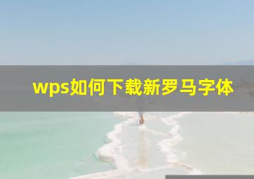 wps如何下载新罗马字体