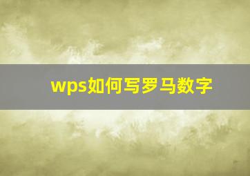 wps如何写罗马数字