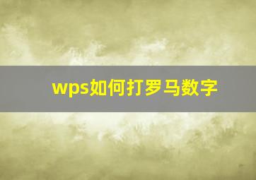 wps如何打罗马数字