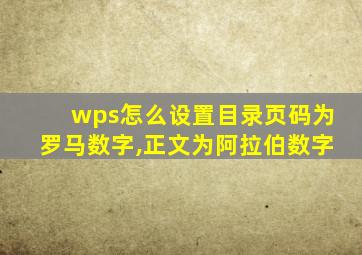 wps怎么设置目录页码为罗马数字,正文为阿拉伯数字