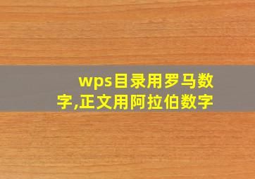 wps目录用罗马数字,正文用阿拉伯数字