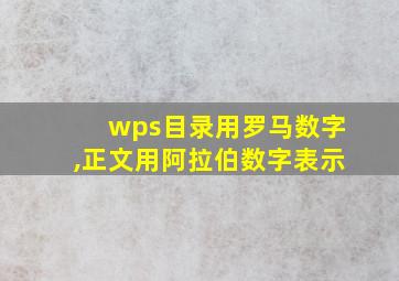 wps目录用罗马数字,正文用阿拉伯数字表示